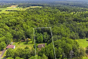 11135 Scotts Mill Rd, Culpeper, VA 22701 - Photo 54