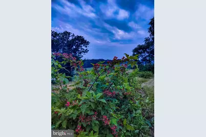 8396 Rixeyville Road, Rixeyville, VA 22737 - Photo 54