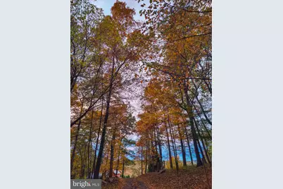 8396 Rixeyville Road, Rixeyville, VA 22737 - Photo 62
