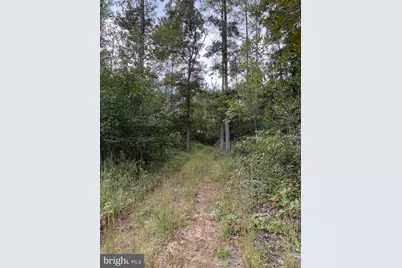 0 Rocks Edge Road, Reva, VA 22735 - Photo 6
