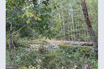 0 Rocks Edge Road, Reva, VA 22735 - Photo 20