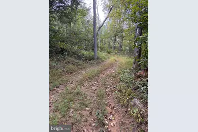 0 Rocks Edge Road, Reva, VA 22735 - Photo 4
