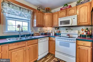 11165 Drogheda Mountain Rd, Rixeyville, VA 22737 - Photo 8