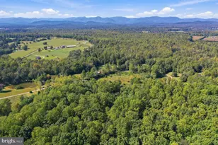 15315 Turkey Track, Culpeper, VA 22701 - Photo 42