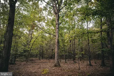 Tbd Stringfellow Road, Culpeper, VA 22701 - Photo 12