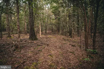 Tbd Stringfellow Road, Culpeper, VA 22701 - Photo 16