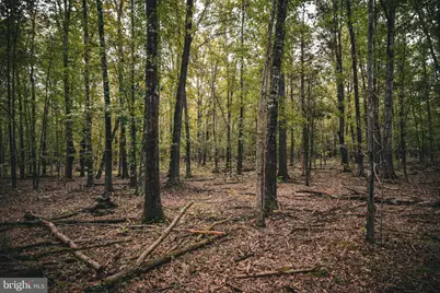 Tbd Stringfellow Road, Culpeper, VA 22701 - Photo 14
