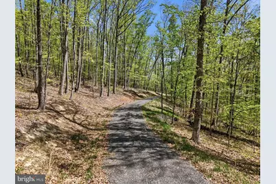 Lot 1 Obannons Mill Road, Boston, VA 22713 - Photo 12