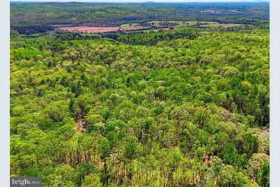Lot 2 Obannons Mill Road, Boston, VA 22713 - Photo 6