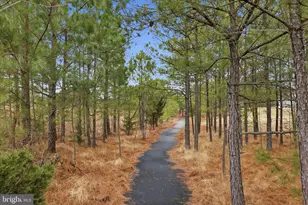 6619 Sacagawea St, Ruther Glen, VA 22546 - Photo 48