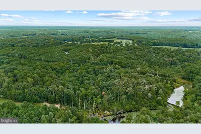 20105 Sparta Road, Milford, VA 22514 - Photo 40