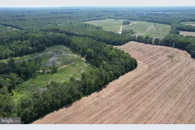 0 Countyline Church Road, Woodford, VA 22580 - Photo 16