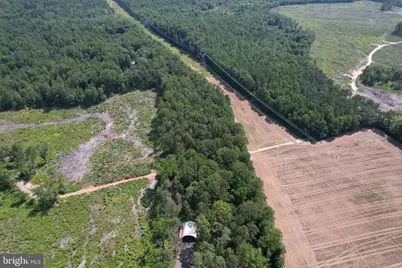 0 Countyline Church Road, Woodford, VA 22580 - Photo 10