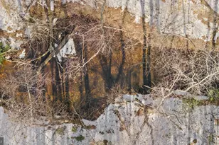 15285 Woodslane Rd, Woodford, VA 22580 - Photo 44