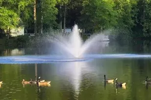 26236 Shannon Mill Dr, Ruther Glen, VA 22546 - Photo 6