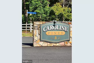 26236 Shannon Mill Drive, Ruther Glen, VA 22546 - Photo 4