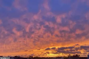 7222 Senate Wy, Ruther Glen, VA 22546 - Photo 2