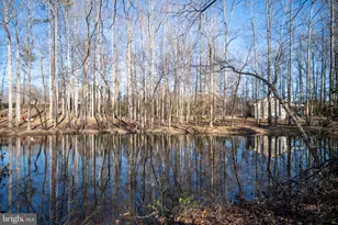 338 Land Or Dr, Ruther Glen, VA 22546 - Photo 38