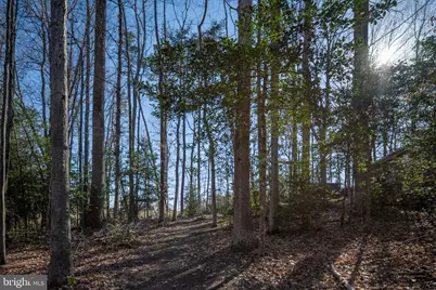 338 Land Or Drive, Ruther Glen, VA 22546 - Photo 36