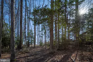 338 Land Or Dr, Ruther Glen, VA 22546 - Photo 36