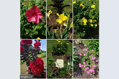 12254 Birkdale Road, Ruther Glen, VA 22546 - Photo 64