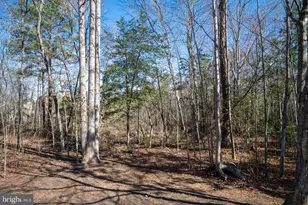 23167 Triple Crown Dr, Ruther Glen, VA 22546 - Photo 52