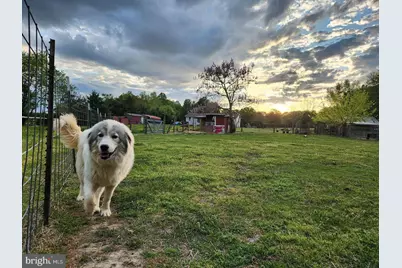 23165 Fork Bridge Road, Milford, VA 22514 - Photo 50