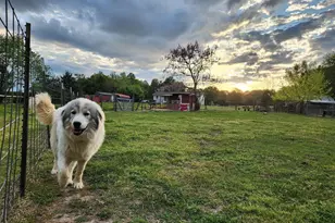 23165 Fork Bridge Rd, Milford, VA 22514 - Photo 50