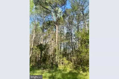 186 Patrick Henry Drive, Ruther Glen, VA 22546 - Photo 4