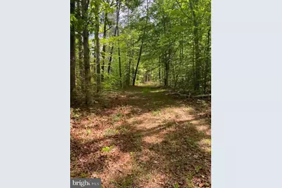 0 Carters Gate Road, Ruther Glen, VA 22546 - Photo 4