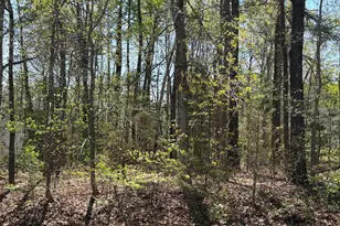 411 Pocahontas Dr, Ruther Glen, VA 22546 - Photo 1