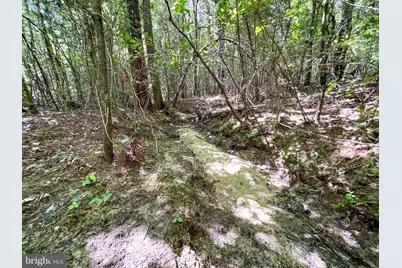 25.5 Acres Ladysmith, Ruther Glen, VA 22546 - Photo 18