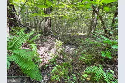 25.5 Acres Ladysmith, Ruther Glen, VA 22546 - Photo 14