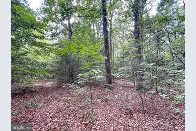25.5 Acres Ladysmith, Ruther Glen, VA 22546 - Photo 30