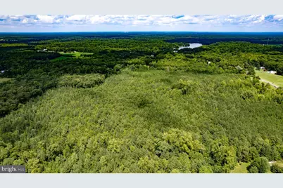 25.5 Acres Ladysmith, Ruther Glen, VA 22546 - Photo 6