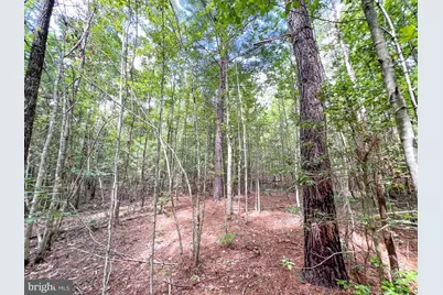 25.5 Acres Ladysmith, Ruther Glen, VA 22546 - Photo 20