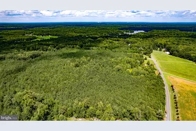 25.5 Acres Ladysmith, Ruther Glen, VA 22546 - Photo 4