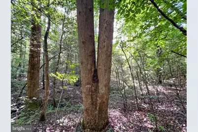 25.5 Acres Ladysmith, Ruther Glen, VA 22546 - Photo 16