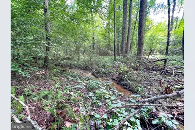 25.5 Acres Ladysmith, Ruther Glen, VA 22546 - Photo 22