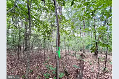 25.5 Acres Ladysmith, Ruther Glen, VA 22546 - Photo 38