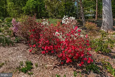 448 Lake Caroline Drive, Ruther Glen, VA 22546 - Photo 50