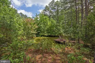 20100 Frog Level Rd, Ruther Glen, VA 22546 - Photo 20