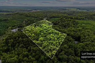 Pond Rd, Ruther Glen, VA 22546 - Photo 1