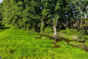 2349 Skinkers Neck Rd, Rappahannock Academy, VA 22538 - Photo 60