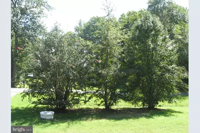 16623 Braswell Street, Bowling Green, VA 22427 - Photo 6