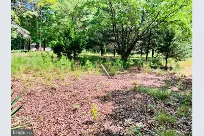 3599 Skipwith Road, Boydton, VA 23917 - Photo 4