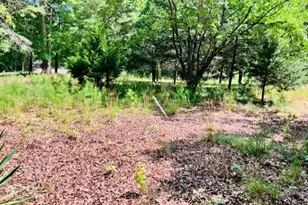 3599 Skipwith Rd, Boydton, VA 23917 - Photo 4