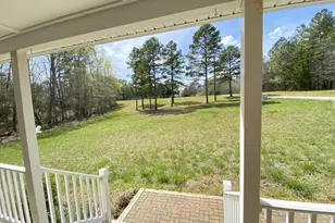 427 Muscadine Trail, Baskerville, VA 23915 - Photo 110