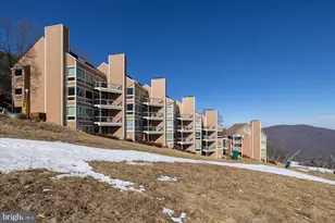 905 Diamond Hill, Wintergreen, VA 22967 - Photo 46