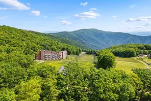 312 Dobie, Roseland, VA 22967 - Photo 48
